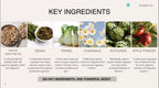Cleanse & Reset Sample Pack – 5 Sticks | Cool Lime & Watermelon