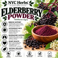 Elderberry | Immune Support & Seasonal Wellness