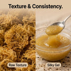 Jamaican Gold Irish Sea Moss