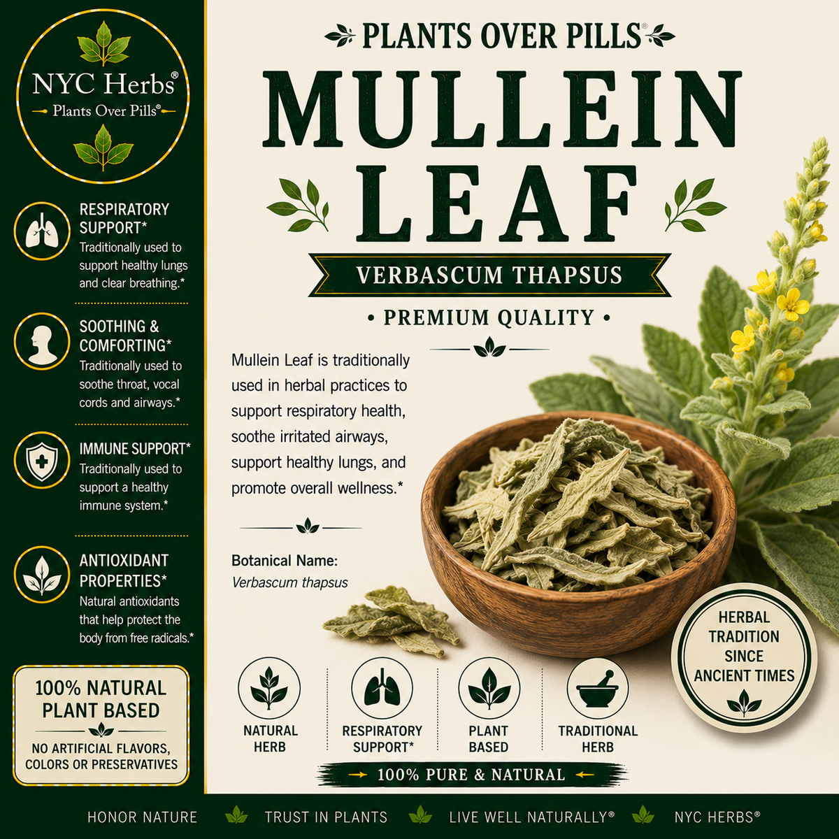 Mullein Leaf c/s