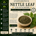 Nettle Leaf c/s