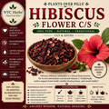 Hibiscus Flowers