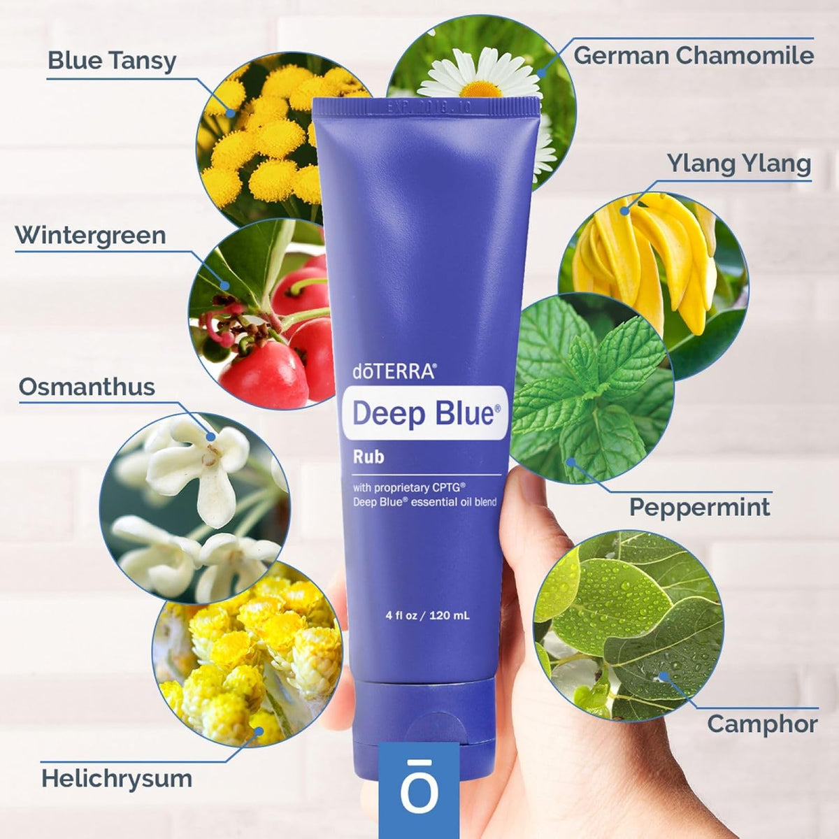 doTERRA Deep Blue Rub 120 mL (4 fl oz)
