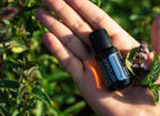 doTERRA Peppermint Essential Oil 15 mL