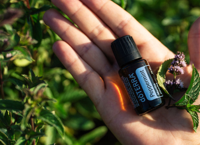 doTERRA Peppermint Essential Oil 15 mL