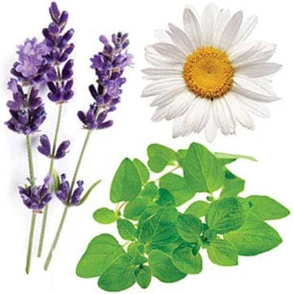doTERRA Serenity Restful Blend 15 mL